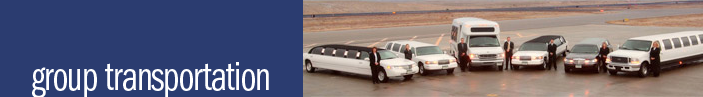 Group Transportation Charleston Limousine Party Bus, Stretch Limo